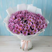 Букет цветов из:  Хризантемы в Лысково