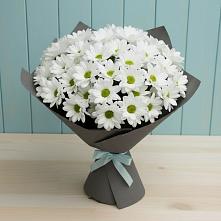 Букет белые хризантемы в Лысково Букет цветов из:  Хризантемы в Лысково